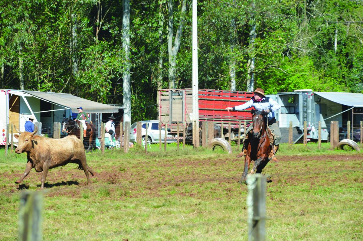 Disputas aconteceram em 12 categorias