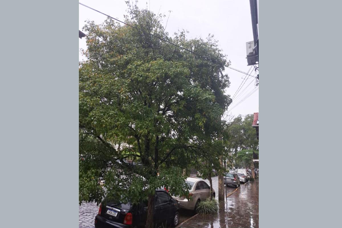 Por Albertina do Amaral (Moradora)