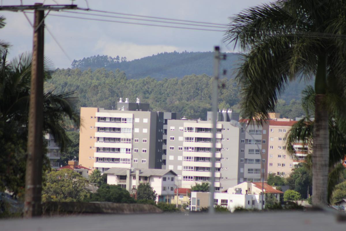 (Foto: Octacílio Freitas Dias) (Foto: Octacílio Freitas Dias)