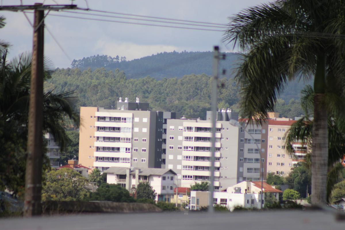 (Foto: Octacílio Freitas Dias)