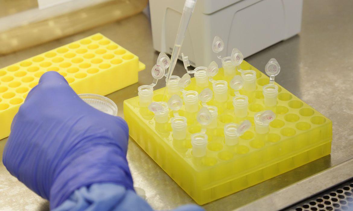 Mais de 500 pessoas foram testadas em Dois Irmãos até o momento Mais de 500 pessoas foram testadas em Dois Irmãos até o momento