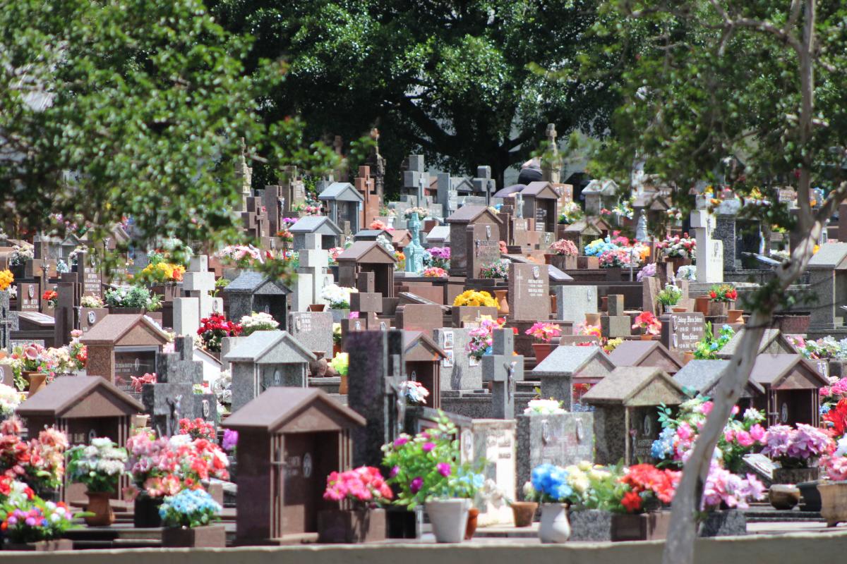 (Foto: Octacílio Freitas Dias)