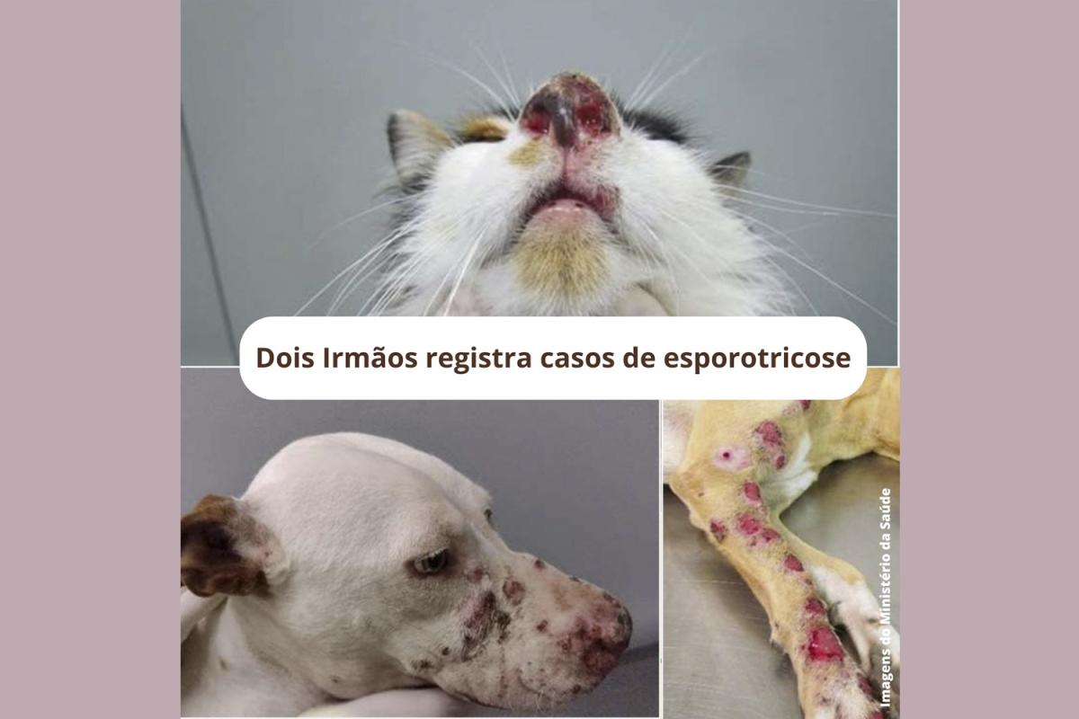 (Foto: Divulgação) (Foto: Divulgação)
