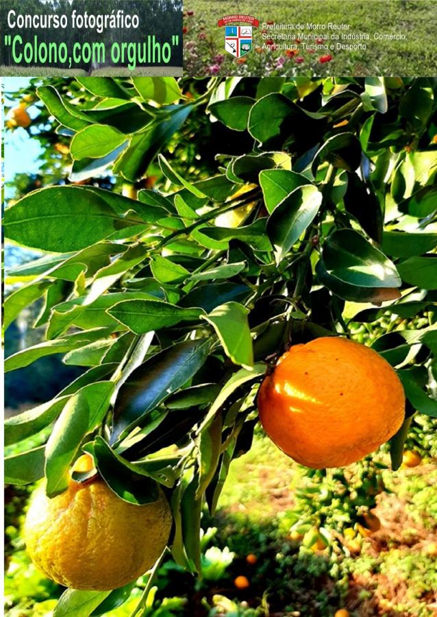 “Do suor e trabalho duro, cultivando alimentos com amor”. (Fazenda Padre Eterno)