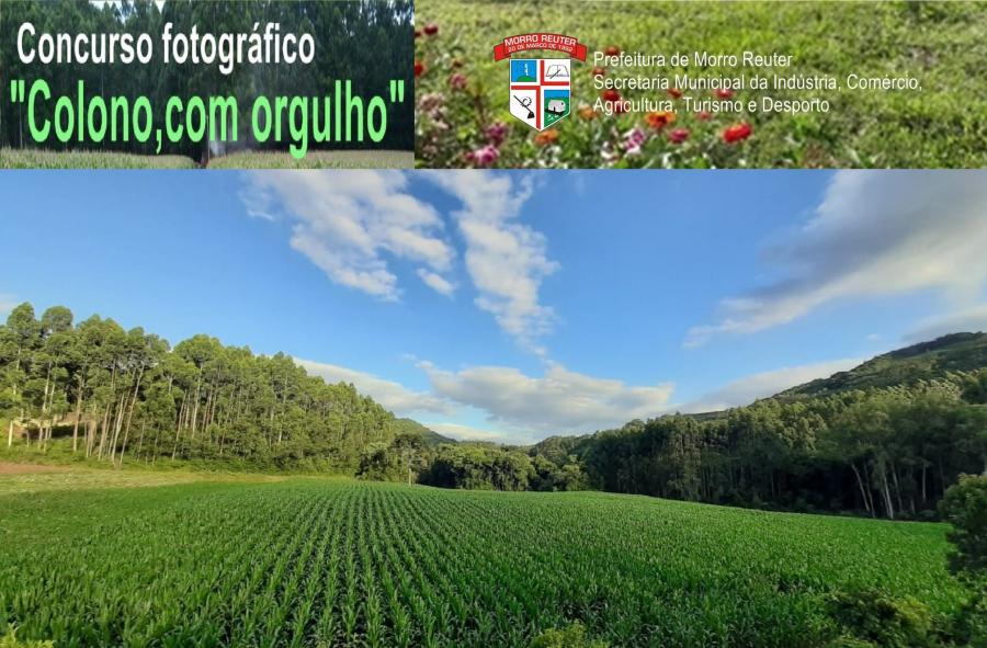 “Plantação de milho”. (Fazenda Padre Eterno)