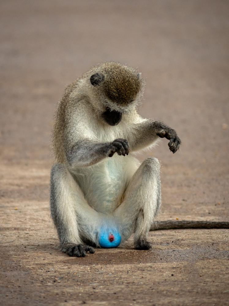 7. Só dando uma checadinha
