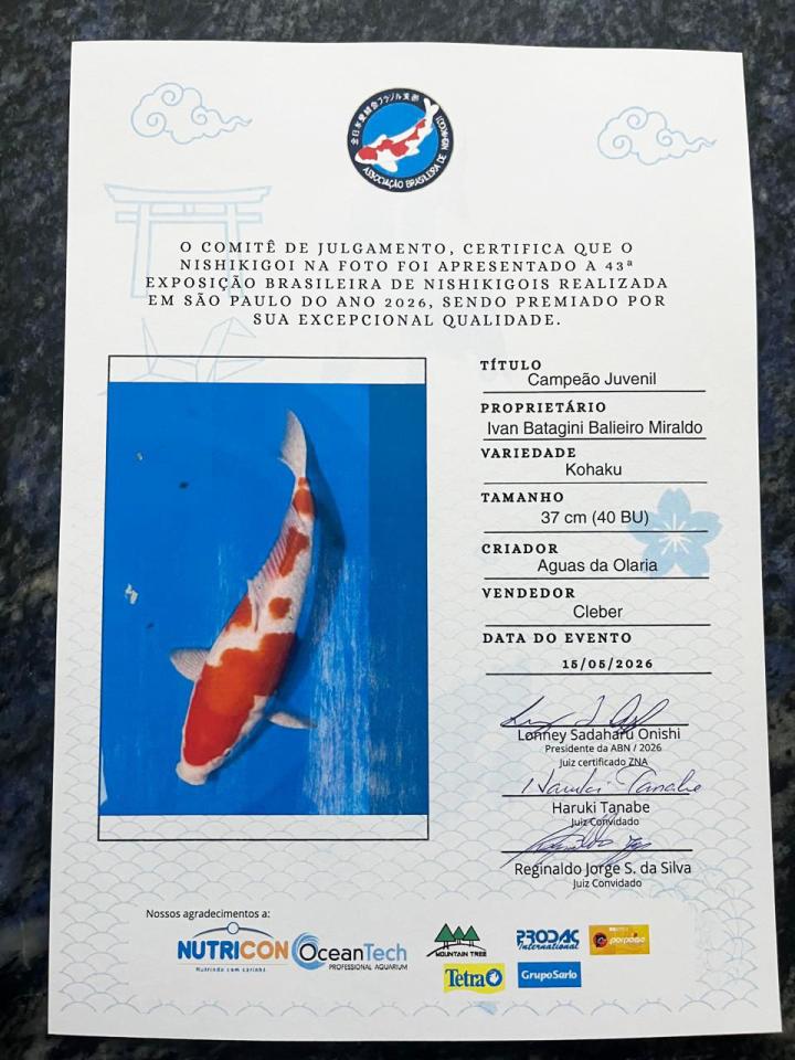 Alguns dos peixes premiados (Fotos: Divulgação)