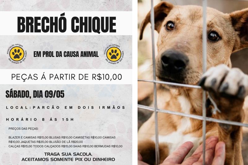 Amigos dos Animais de Dois Irmãos realizam Brechó Chique neste sábado
