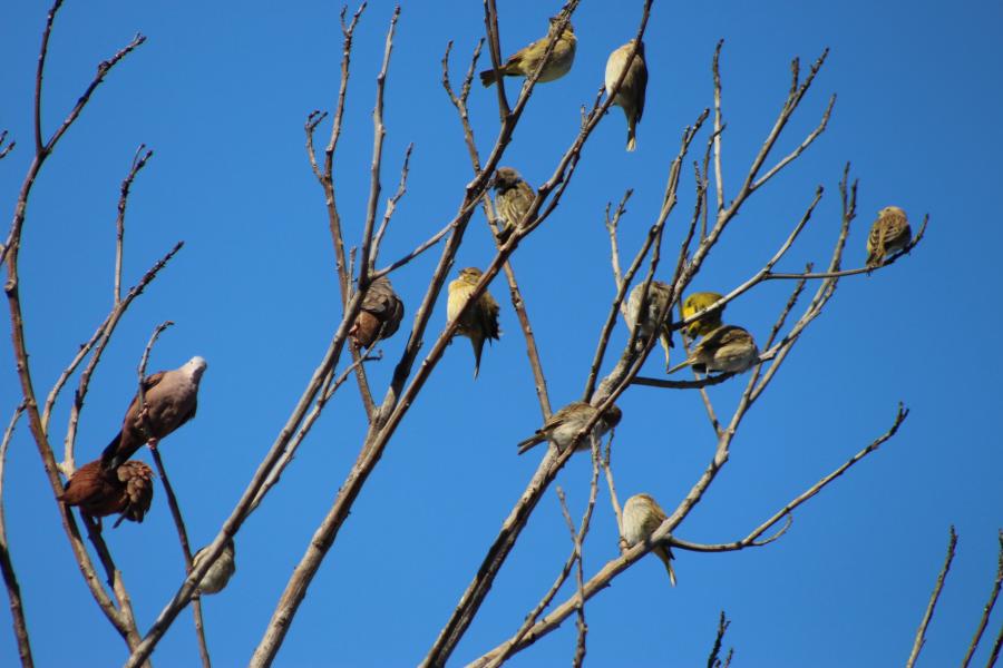 Apesar de todos os apelos, teve quem não evitou as aglomerações