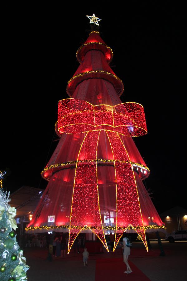 Árvore Símbolo do Natal Gaúcho teve decoração especial pelos 30 anos do evento
