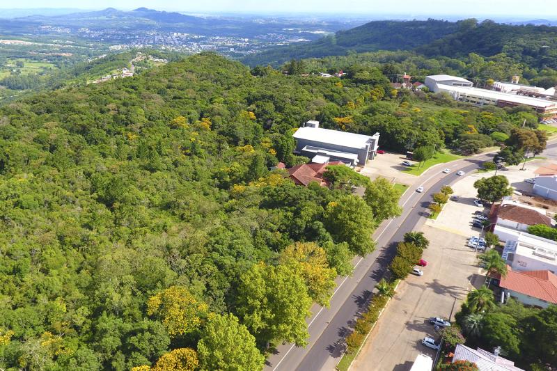 Área do futuro parque (Foto: Divulgação)