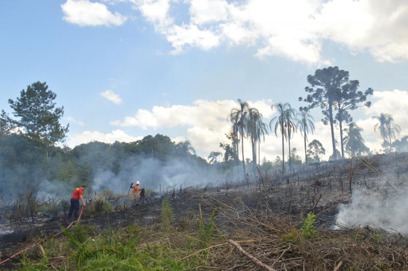 Foram 18 ocorrências no município, sete em Morro Reuter e cinco em Santa Maria do Herval (Foto: Arquivo JDI)