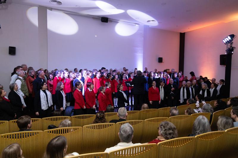 (Fotos: Divulgação)