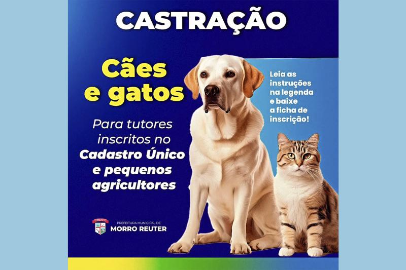 Castração de cães e gatos para inscritos no Cadastro Único e pequenos agricultores