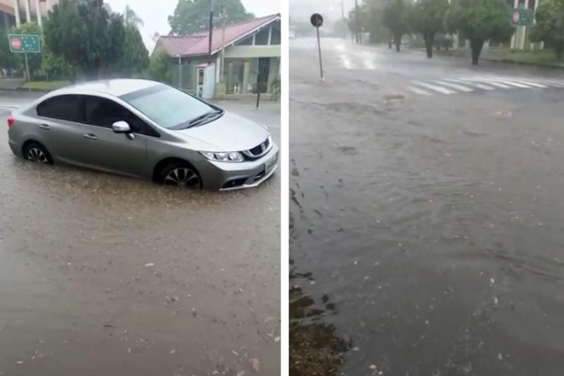 Imagens reproduzidas de vídeo encaminhado por comerciante