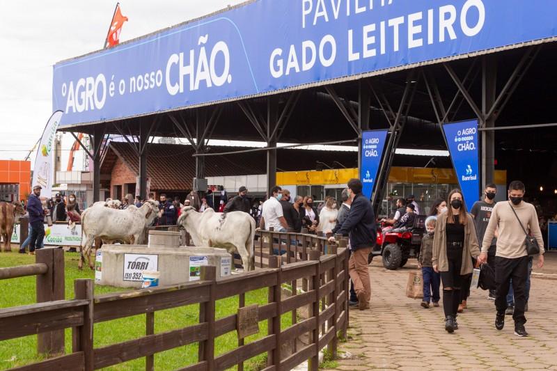 Fonte: Governo RS