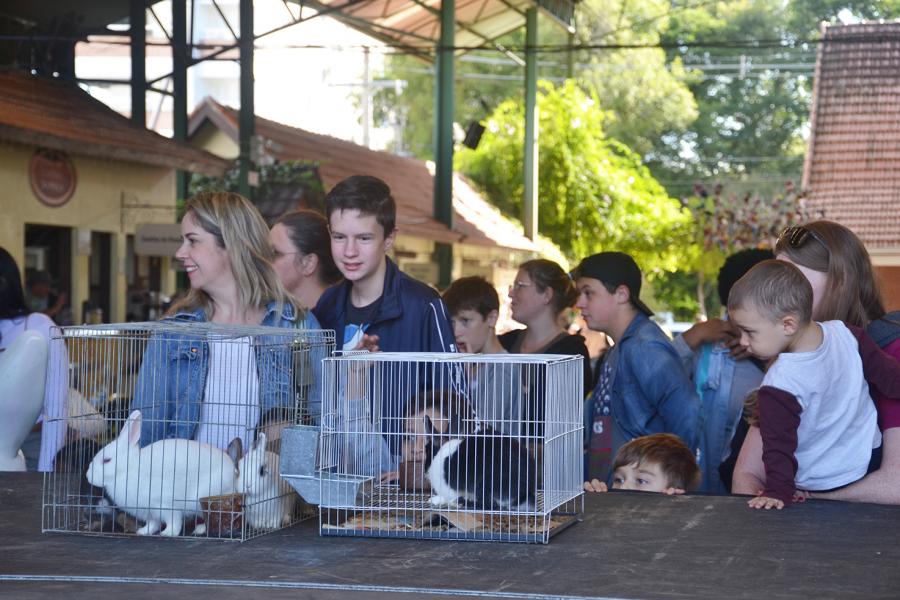 Coelhos vivos fizeram parte da premiação 