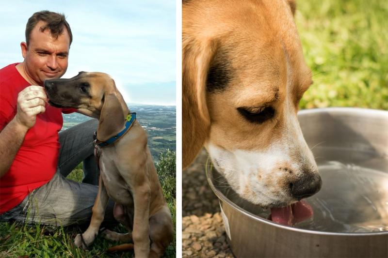 Veterinário Jônatas acompanhado da cadelinha Baly Che Piá (Foto: Divulgação) / Hidratação é muito importante (Foto: Pixabay)