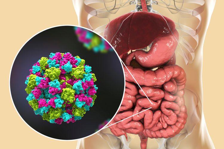 Confira as orientações da Vigilância Epidemiológica