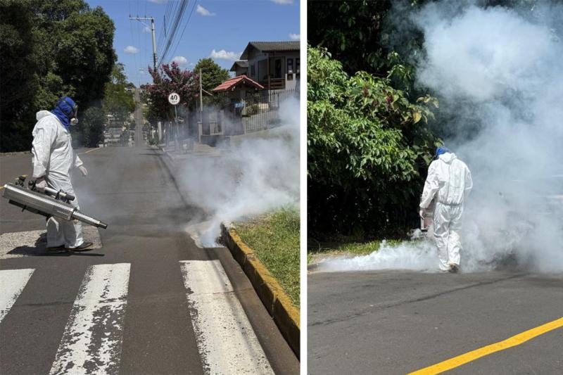 (Divulgação / PMDI)