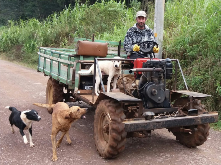 1º lugar: “Companheiros da jornada”, de Giane Stoffel – 1.200 curtidas