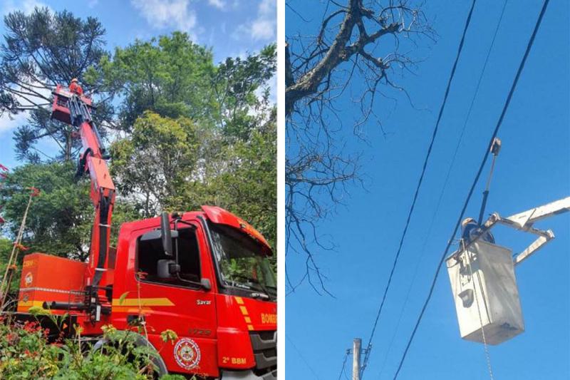 Bombeiros são acionados frequentemente para este tipo de serviço. Em alguns casos, quando se trata de uma árvore de grande porte, solicitam o caminhão munck de Novo Hamburgo