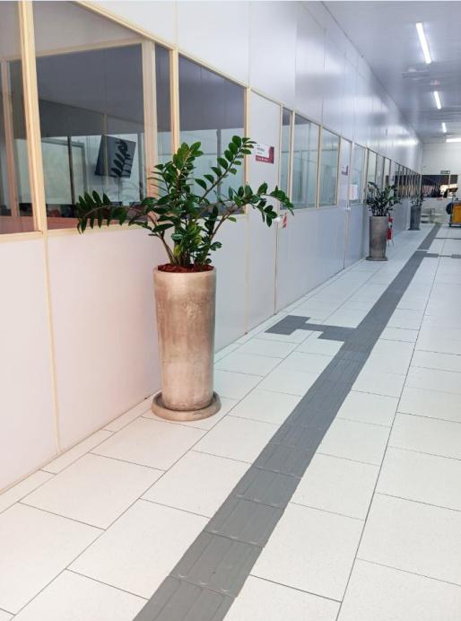 Corredor inclusivo