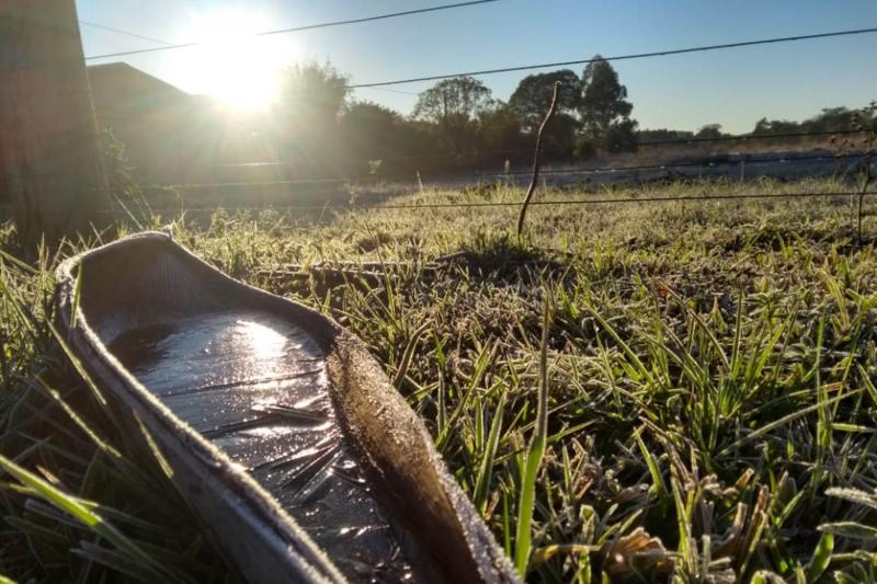 Semana teve geada intensa e 0°C 