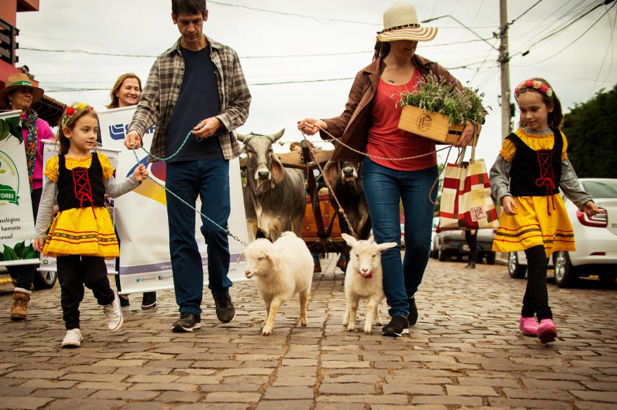 Desfile Temático Rural é no domingo