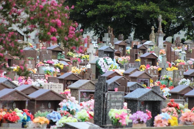 (Foto: Octacílio Freitas Dias)