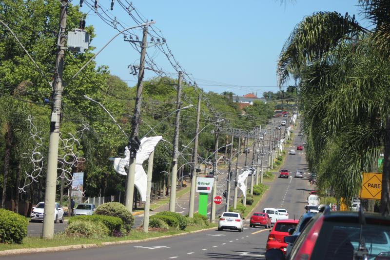 (Foto: Octacílio Freitas Dias)