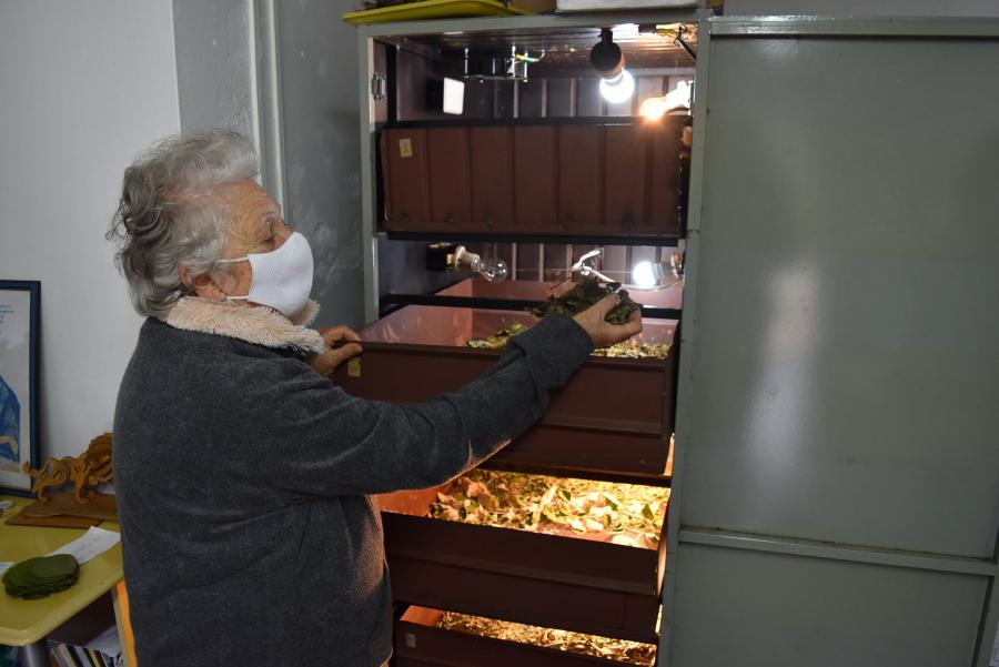 Edi Käfer Gomes coordena os voluntários