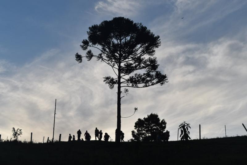 (Foto: Divulgação / PMDI)