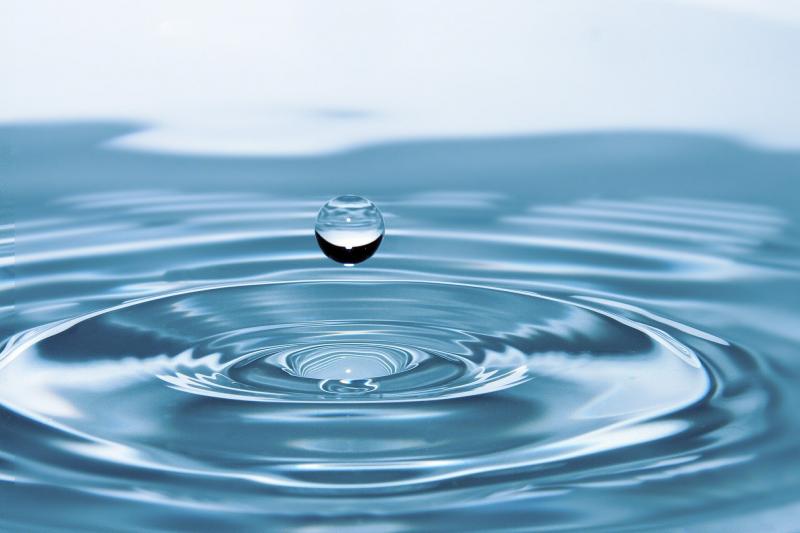 Investidora de Dois Irmãos, Lurdes Nicoli explica sobre a água como commoditie