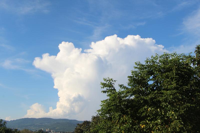 Fonte:  GZH / Foto: JDI