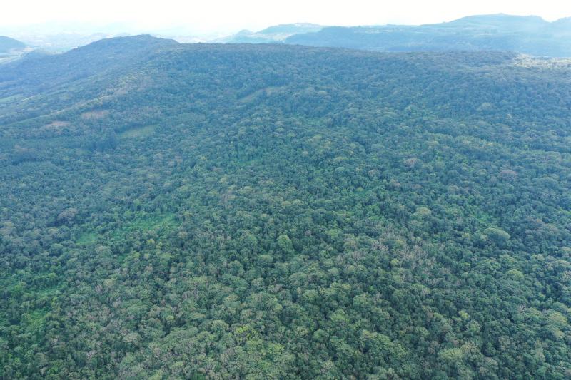 Área situada mais ao noroeste, faz divisa com os municípios Dois Irmãos, Morro Reuter e Ivoti (Fonte: Alto Uruguai Engenharia e Planejamento de Cidades, 2024)