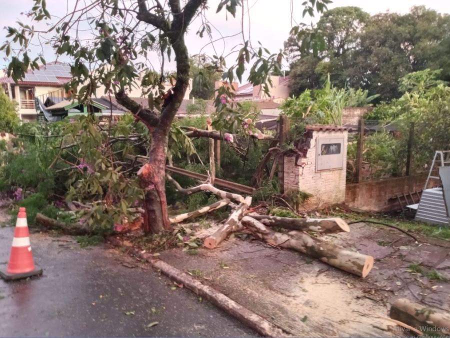 Estragos também foram registrados na Av. Sapiranga, onde moradores ajudaram no trabalho