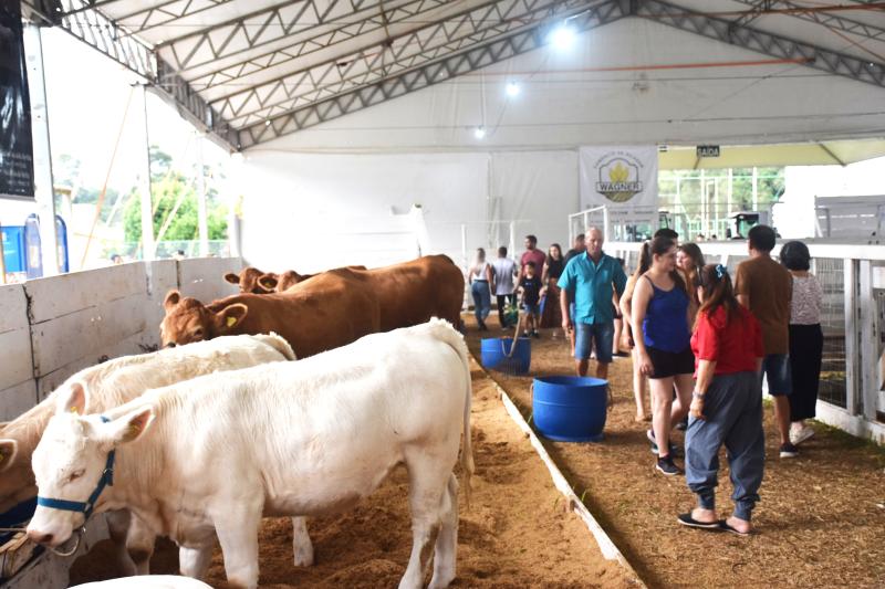 (Foto: Divulgação / PMDI)