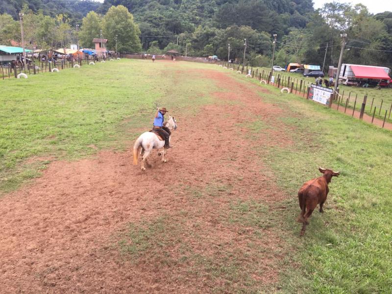 Cancha de laço do CTG Estância do Cotiporã, em Ivoti, recebeu tradicionalistas de toda a região (Foto: Divulgação)