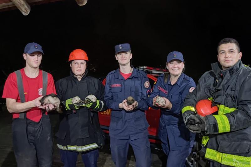 (Fotos: Corpo de Bombeiros de Dois Irmãos)