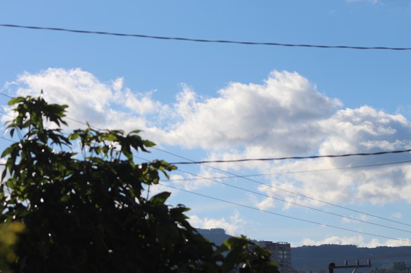 Fonte: GZH / Foto: Octacílio Freitas Dias