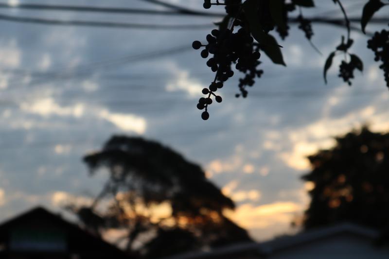 (Foto: Octacílio Freitas Dias)