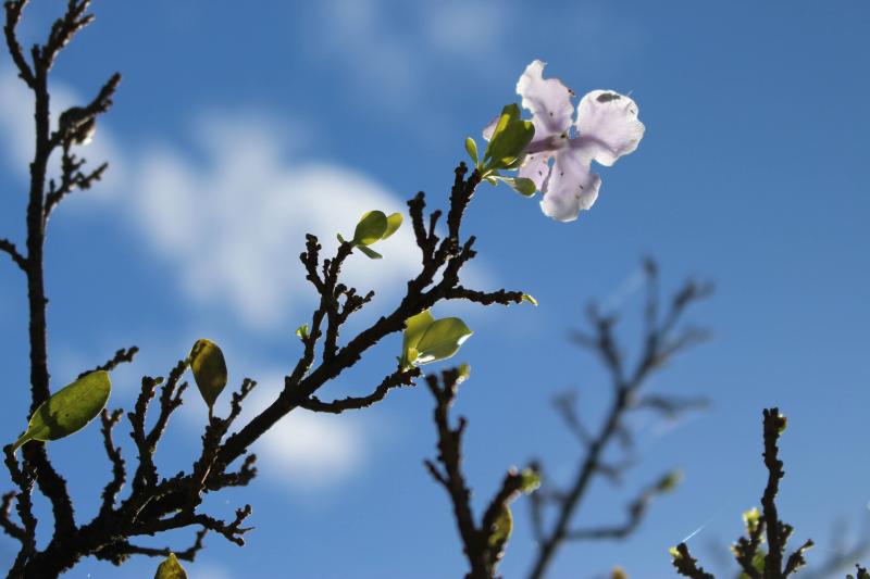 Semana teve sol e temperaturas mais baixas