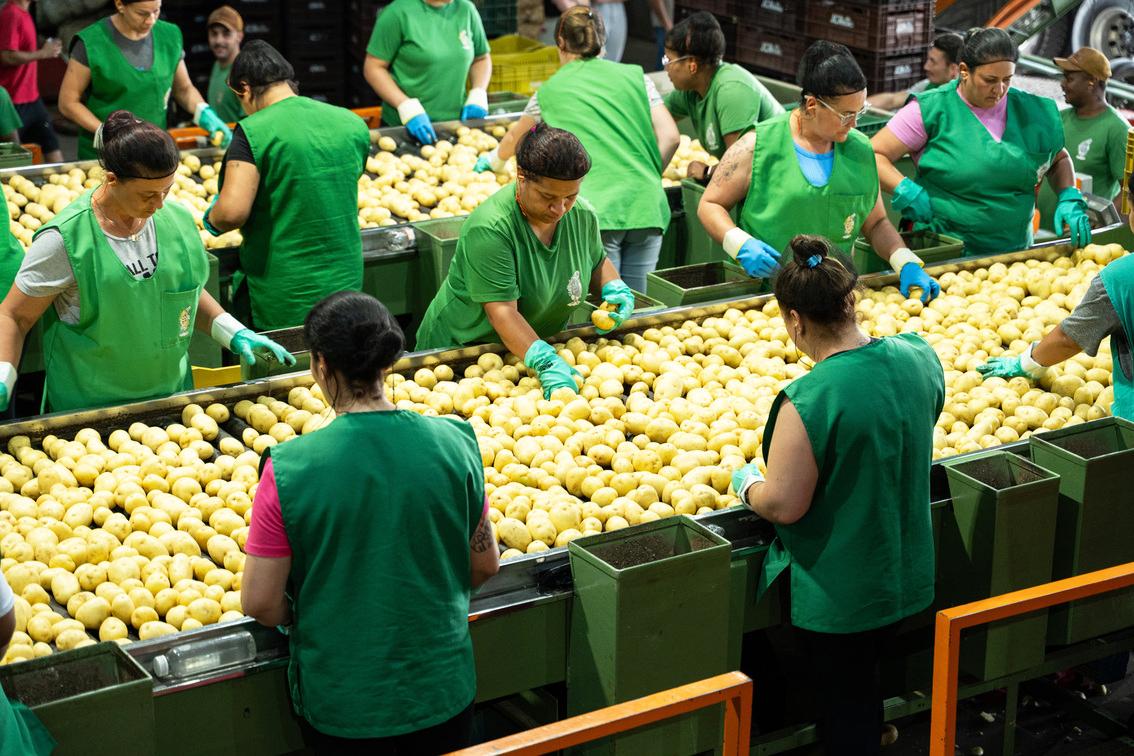 Grupo Belebas é associado da Sicredi Pioneira e utilizou recursos do Plano Safra