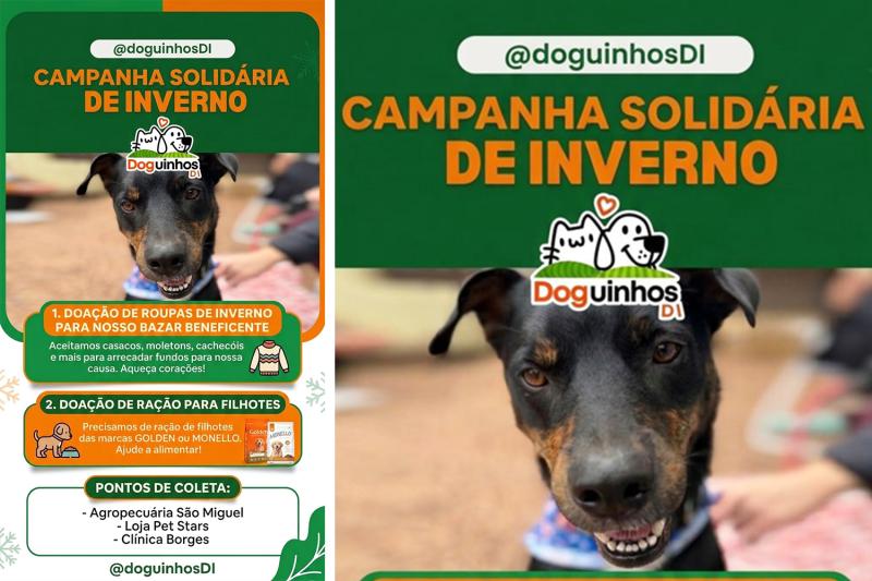 (Imagem: Divulgação)