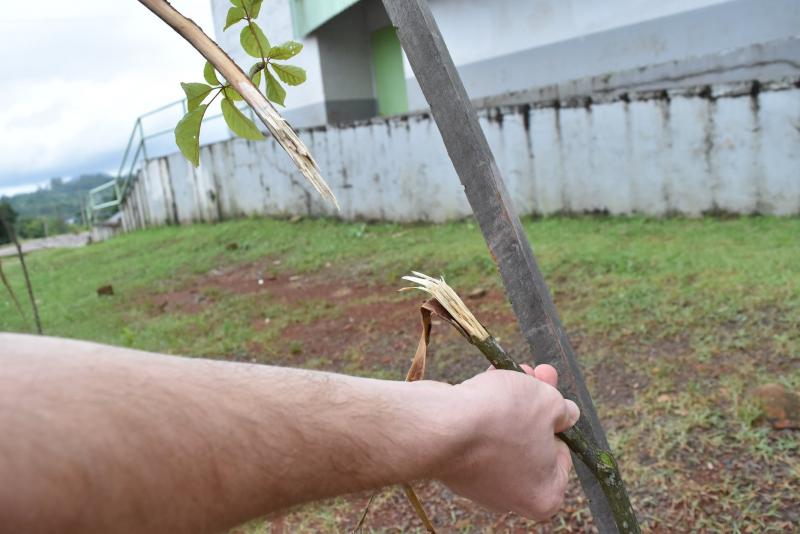 (Foto: Divulgação / PMDI)