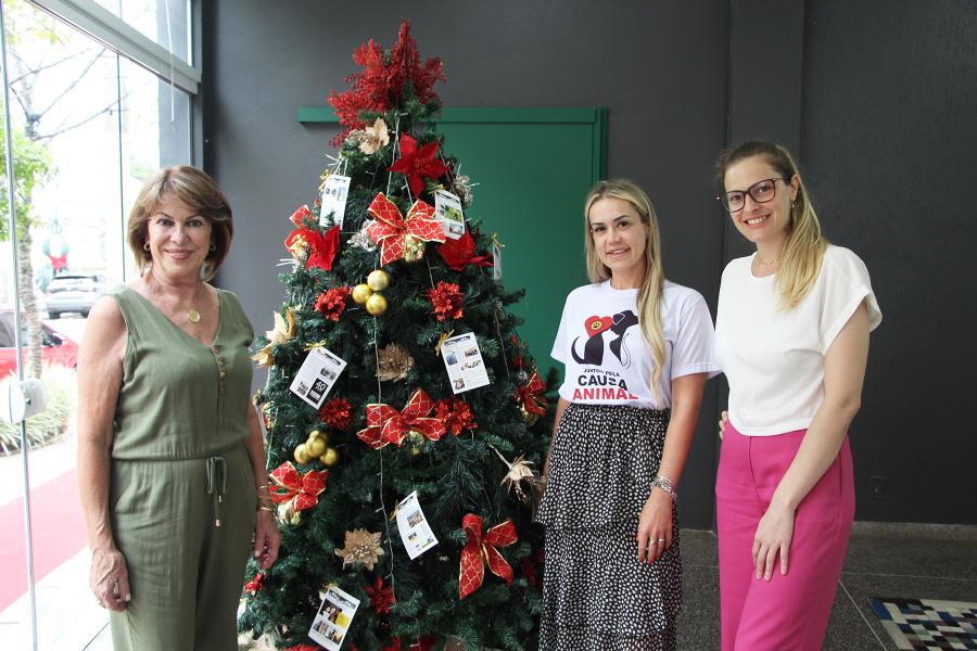 Isaura e Karen, da Associação dos Animais, com Mariana, da Ana Pasqualina Fotografias