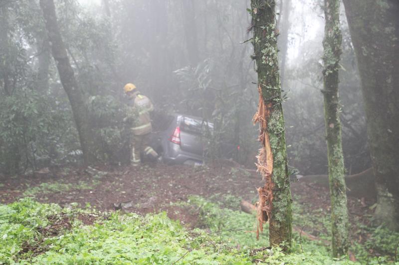 Motorista não se feriu