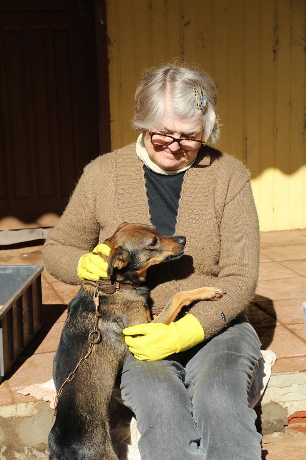 Moradora acordou com barulho do cãozinho pulando contra a porta