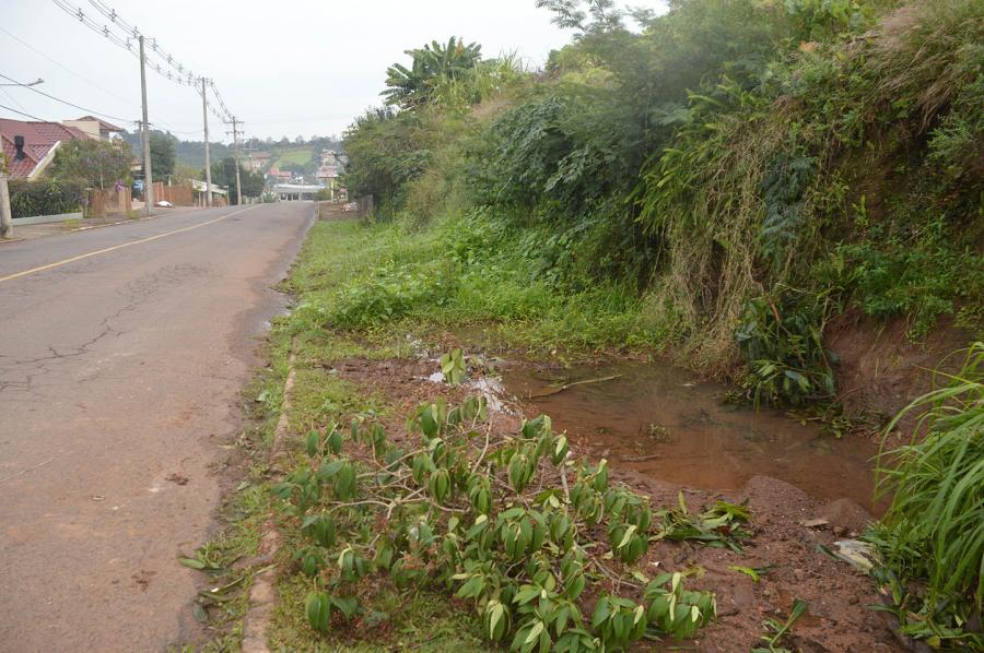 Moradora alertou sobre vazamento no final da Avenida São Miguel